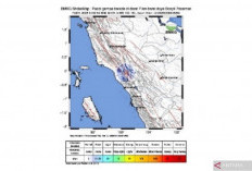 Gempa Bumi Magnitudo 5,0 Guncang Pasaman Barat