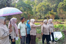 Wakil Ketua TP-PKK Merangin Minta Persiapan Lokasi HKG ke-54 di Desa Tiangko Dimaksimalkan