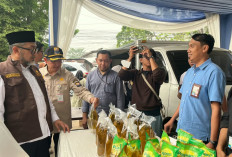 Pemprov Jambi Gencarkan GPM, MinyakKita Maksimal 2 Liter Per Orang
