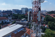 Pendapatan Tumbuh 26 Persen, XLSMART Percepat Sinergi Pasca Merger