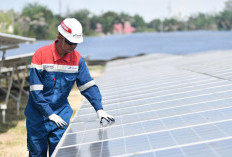 Di Tengah Gejolak Energi Dunia, Pertamina Dorong Energi Terbarukan
