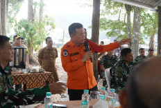 Gubernur Al Haris Dukung Inovasi Tanam Bambu di Lahan Gambut untuk Cegah Karhutla