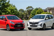 Toyota Calya Bekas vs Toyota Agya Bekas, Mana yang Paling Pas untuk Kebutuhan Anda?