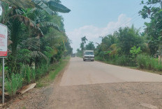 SKK Migas-PetroChina Cor Beton Ruas Jalan Simpang 4 Blok D – Mendahara Tanjab Timur Sepanjang 1,96 Km