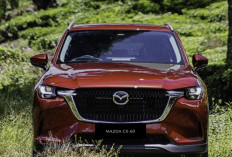 Bingung Pilih SUV Mewah? Simak Perbandingan Lengkap Mazda CX-60 dan Mazda CX-80