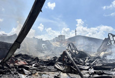 Gudang Pengemasan Minyak Goreng di Muaro Jambi Ludes Terbakar, Dua Mobil Operasional Ikut Hangus 