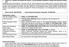 Pengumuman Kedua Lelang Eksekusi Hak Tanggungan BRI a.n PT. Putra Mega Medika dan Dedek Satriansyah Saleh 
