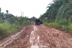 Jalan Rusak Berat, Warga Kumpeh Tagih Janji Pemerintah