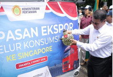 Indonesia Cetak Sejarah Ekspor Perdana 1.000 Ton Beras ke Malaysia