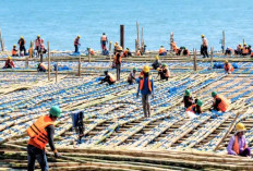Manfaatkan Cerucuk Bambu, Pembangunan Tol Semarang–Demak Kebut Seksi 1
