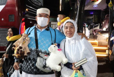 Kisah Kloter BTH 13 Jambi Kembali ke Tanah Air: Dari Tangis Haru Petani hingga Madrasah Kesabaran di Armuzna