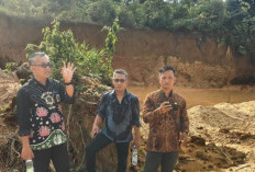 Lahan Aset Pemkab Merangin Rusak Parah Dijarah Penambang Emas Ilegal
