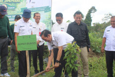 Mewakili Bupati Bungo, Sekda Pimpin Penanaman 2.050 Pohon