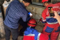 Ular Sanca Masuk Ruang Oksigen RS Kambang, Berhasil Dievakuasi Damkartan Kota Jambi 