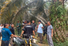 Dandim 0416/Bute Cek Lokasi TMMD ke-129 di Tanjung Agung