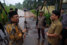 Bupati BBS Tinjau Kondisi Jembatan Air Hitam di Desa Kebun IX, Begini  Kata Bupati Muaro Jambi