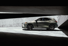  Lexus Resmi Luncurkan New NX Secara Global, Usung Konsep Urban Sport Gear di Era Elektrifikasi