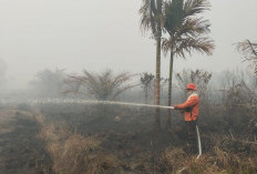Dikepung Asap, Tim Gabungan Berjibaku Padamkan Karhutla di Tanjabtim, Terkendala Kanal Kering