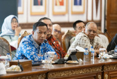 Apakah Izin PT SAS Sudah Sesuai? Ini Jawaban DLH dan PTSP di Depan DPD RI