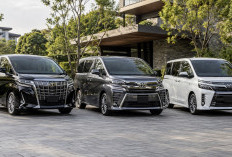 Membandingkan Alphard, Vellfire, dan Voxy Bekas Sebelum Membeli MPV Keluarga