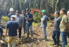  Region Head PTPN IV Regional IV Kawal Langsung Replanting Kebun Batang Hari Demi Masa Depan 25 Tahun