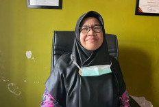Hingga Juli, 35 Kasus DBD Tercatat di Batang Hari 