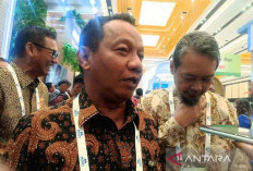 Kementerian ESDM Tarif Listrik Triwulan I 2026 Tidak Naik