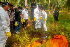 Empat Hari Tak Ada Kabar, Kakek 75 Tahun Ditemukan Meninggal di Kebun
