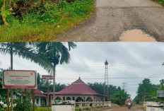 2 Jembatan SKK Migas PetroChina di Desa Pandan Makmur & Pandan Sejahtera Masih Kokoh Topang Ekonomi Tanjabtim