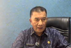 Ribuan Hektare Sawah di Sungai Penuh Tak Bisa Ditanami