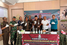 Kejari Batang Hari Musnahkan Barang Bukti, Pidana Narkotika Mendominasi 