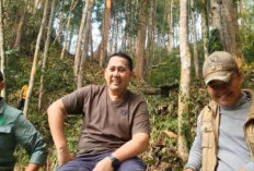 Bupati Merangin M. Syukur Takjub Bandingkan Pesona Hutan Rio Kemunyang dengan Ubud Bali