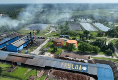 Limbah Sawit Riau Disulap Jadi Energi Hijau, BRIN dan PalmCo Garap Proyek Bio-CBG