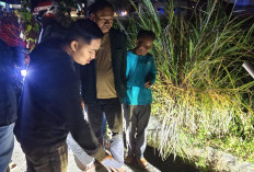 Pelaku Penganiayaan Maut di Air Hangat Timur Ditangkap Kurang dari Lima Jam