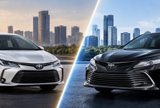 Pilih Praktis atau Mewah? Ini Pertimbangan Sebelum Membeli Toyota Corolla Altis Bekas vs Camry Hybrid Bekas