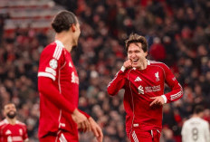 Bantai Qarabag 6-0, Liverpool Lolos 16 Besar