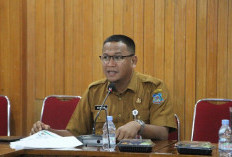 Soroti Antrean Faskes, Sekda Hermansyah Instruksikan Puskesmas Gencar Sosialisasi Aplikasi