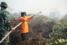 Gubernur Al Haris Berjibaku Padamkan Karhutla di Nipah Panjang Tanjabtim