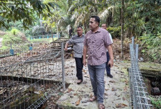 Fasilitas dan Penghuni Baru Arboretum Siap Manjakan Pengunjung, Bupati M. Syukur Tinjau Progres Perbaikan