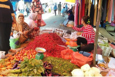 Harga Cabai Merah di Tanjabtim Melonjak