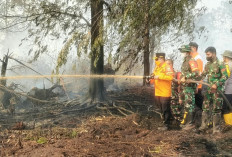 Kawasan Gambut Londerang Kembali Terbakar, Al Haris Langsung Tinjau dan Uji Zat Pemadam Api Gambut
