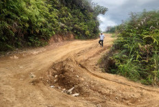 Infrastruktur Prioritas 2026, Jalan Renah Pemetik Kerinci Segera Diperbaiki
