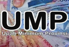 Lengkap! Berikut Daftar Lengkap UMP 2026 di 36 Provinsi Se Indonesia