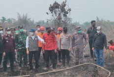 Menteri Kehutanan Turun Gunung, Pantau Langsung Karhutla Gambut di Tanjabtim