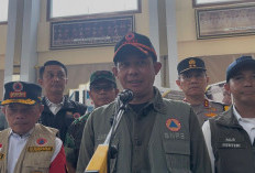 Tinjau Udara Karhutla Jambi, Kepala BNPB : 8 Hektare Lahan Sedang Dipadamkan, Ada 1 Titik Api Baru 