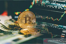 Harga Bitcoin Dekati USD 79.500 Momentum Positif di Tengah Dinamika Geopolitik