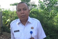  Stok Hewan Kurban di Muaro Jambi Tembus 6 Ribu Ekor