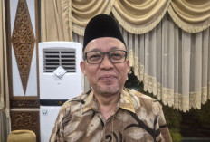 Pemprov Jambi Sebut Izin PPKH Jalan Khusus Batu Bara Sudah Tuntas