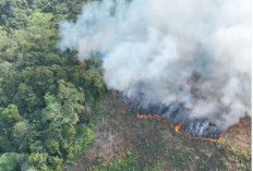 Karhutla di Area PT Jebus Maju Meluas, Tim Gabungan Butuh Water Bombing