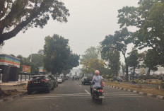 Kualitas Udara di Kota Jambi Berbahaya, Ini Tips Menjaga Kesehatan dari Partikel Polutan
